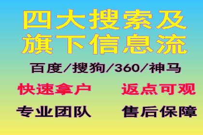谷歌SEM广告策略：某电商平台的成功逆袭案例